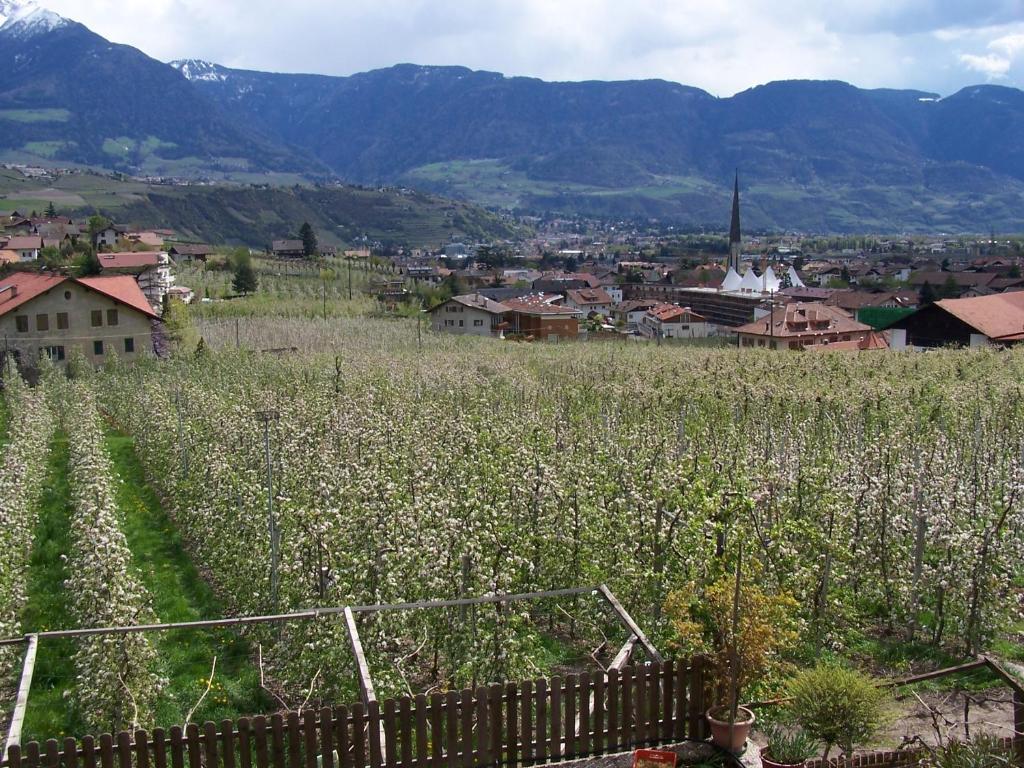 Garni & Residence Sonngart Lagundo Bagian luar foto